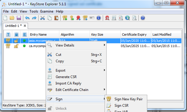 Use New Key To Generate New Certificate